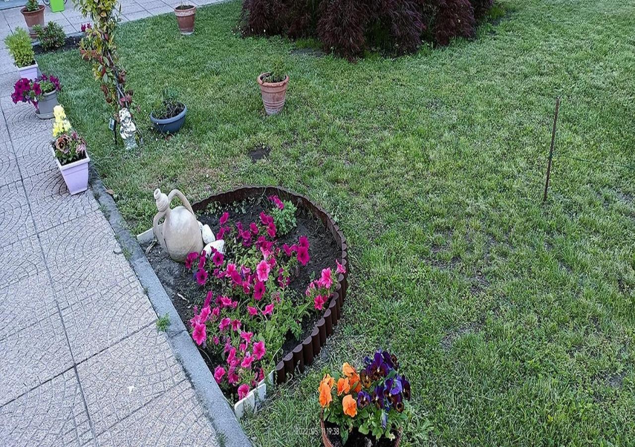 La Magnolia B&B Gassino Torinese ภายนอก รูปภาพ